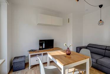 Appartement lumineux de 2 pièces avec grande terrasse sur le toit