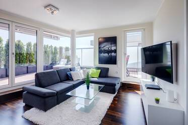 Appartement avec terrasse sur le toit très beau et meublé à Neuhausen