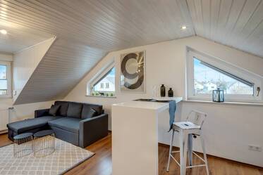 Appartement sous les toits beau et meublé à Lerchenau
