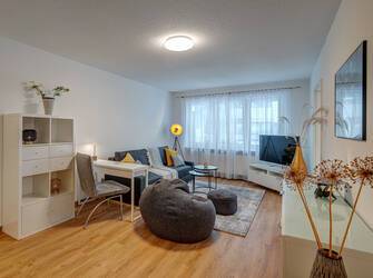 Appartement beau et meublé à Neuhausen