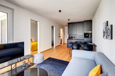 Appartement très beau et meublé à Giesing