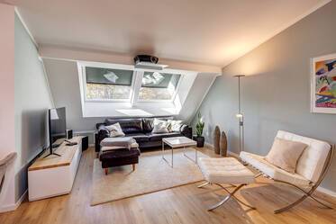 Appartement lumineux avec terrasse sur le toit à louer