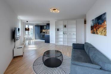 Appartement avec terrasse sur le toit beau et meublé à Pasing