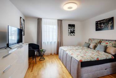 Grand appartement meublé d&#039;une pièce à louer