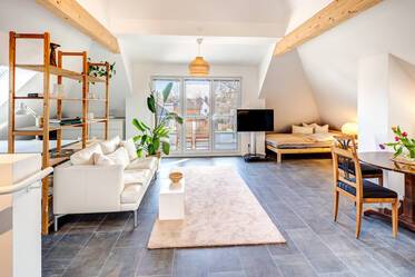 Grenier lumineux et confortable avec petit toit-terrasse