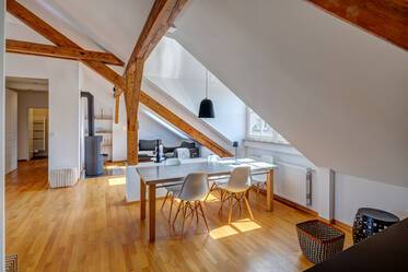 Appartement avec terrasse sur le toit très beau et meublé à Maxvorstadt