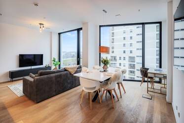 Appartement avec terrasse sur le toit meublé à Neuhausen