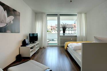 Appartement beau et meublé à Neuhausen