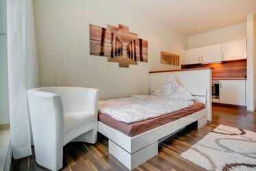 Studio très beau et meublé à Neuhausen