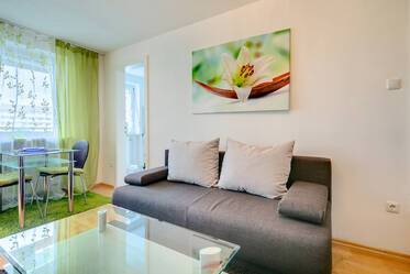 Appartement sympa et meublé à Obergiesing