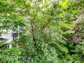 appartement München Maxvorstadt 02 vue 10870
