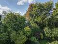 appartement avec terrasse sur le toit München Menterschwaige 01 vue 11267