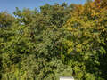 appartement avec terrasse sur le toit München Menterschwaige 07 vue 11267