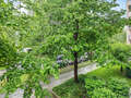 appartement München Oberföhring 04 vue 11585