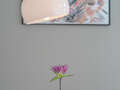 appartement München Schwabing-West 06 pièce à vivre 12272