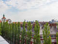 appartement München Au 05 terrasse commune  13003