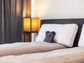 appartement style maisonnette München Olympiadorf 01 1ère chambre 13150