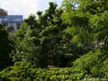appartement München Gärtnerplatzviertel 01 vue 1348