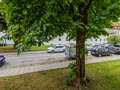 appartement München Obergiesing 02 vue 14087