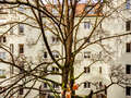 appartement München Lehel 04 vue 14254