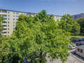 appartement München Parkstadt Bogenhausen 02 vue 14554