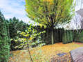 appartement avec jardin München Denning 01 jardin 14634