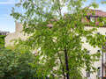 appartement München Schwabing-West 01 vue 14894
