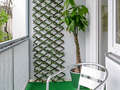 studio München Schwabing (links der Leopoldstraße) 01 balcon 2333