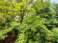 studio München Schwabing-West 02 vue 2711