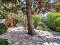 maison individuelle München Obermenzing 06 jardin 5436