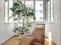 appartement München Altbogenhausen 09 salon 5506
