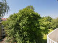 studio München Bogenhausen 01 vue 7047