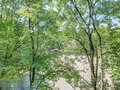 studio München Isarvorstadt 02 vue 8737