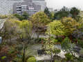 appartement avec terrasse sur le toit München Arabellapark 01 vue 9024