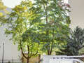 appartement München Neuhausen 01 vue 9686