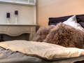 appartement München Schwabing-West (rund um den Hohenzollernplatz) 02 dormir 9957