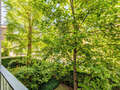 appartement München Ludwigsvorstadt 03 vue 9983