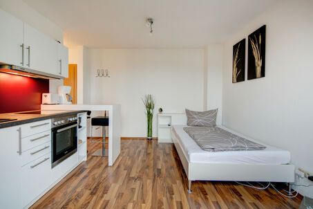 https://www.mrlodge.fr/location/appartements-1-chambre-eching-8210
